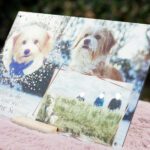 Hundeschild Schild Hund Birte Scheel Aludibond silber IMG_4671 homepage