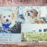 Hundeschild Schild Hund Birte Scheel Aludibond silber IMG_4679 homepage