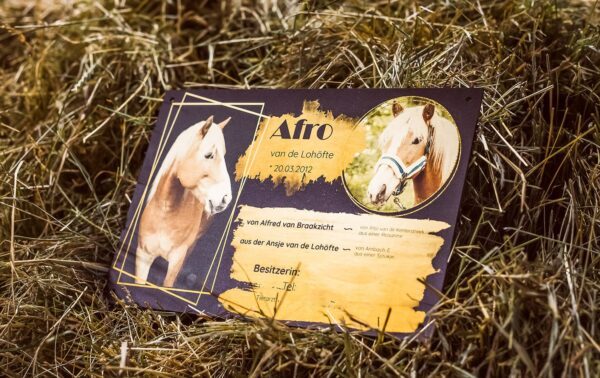 Boxenschild Alu-Stahl gebürstet metallic Oberfläche verschiedene Maße individuell angefertigt – Bild 16