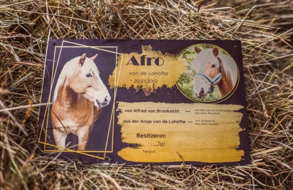 Boxenschild Alu-Stahl gebürstet metallic Oberfläche verschiedene Maße individuell angefertigt – Bild 4