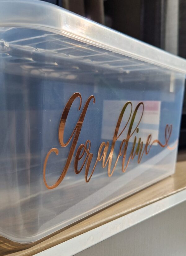 Vorratsbox Futterbox Müslibox Pferde Ponys etc mit rosegold, gold, silber Text personalisiert  2 Liter / 3 Liter / 6 Liter inkl. Deckel