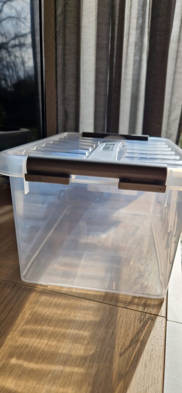 Vorratsbox Futterbox Müslibox Pferde Ponys etc mit rosegold, gold, silber Text personalisiert  2 Liter / 3 Liter / 6 Liter inkl. Deckel – Bild 3