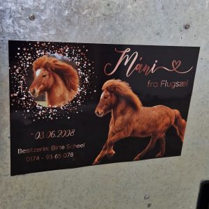 Boxenschild magnetisch z.B. für den Stahl-Sattelschrank in  verschiedene Größen, individuell angefertigt Gold, Rosegold, Silber nach deinen Wünschen