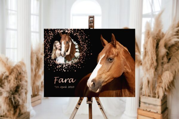 Boxenschild Acryl Glas verschiedene Größen, individuell angefertigt Gold, Rosegold, Silber nach deinen Wünschen