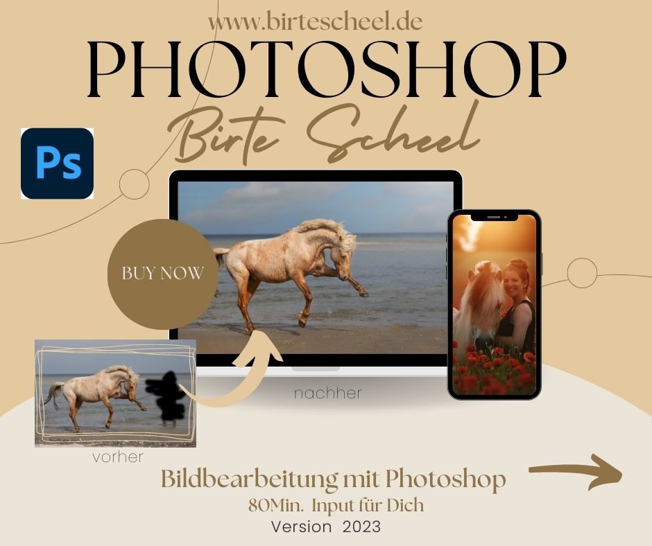 Photoshop Kurs / webinar 2023 Bildbearbeitung erklärt / Tutorial m. Werkzeugen, Masken usw.  erklärt für Pferdefotografie / Pferdefotografen / Tierfotografen / Fotografen