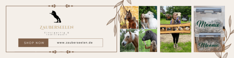 Mehr über den Artikel erfahren Mein eigener Zauberseelen Shop ist eröffnet!